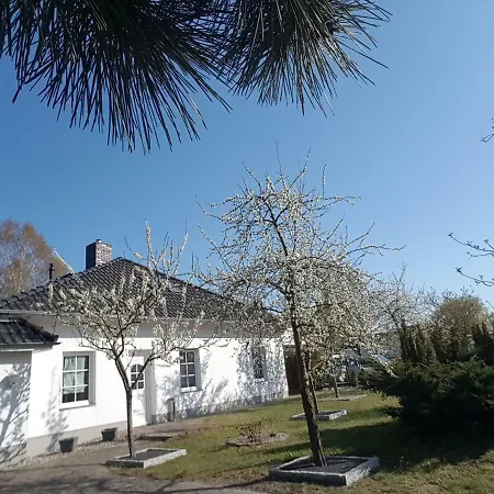 Ferienhaus Urlaubstraum *